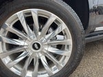2024 Escalade ESV Thumbnail 25
