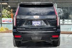 2023 Escalade ESV Thumbnail 5