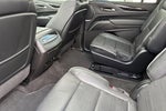 2023 Escalade ESV Thumbnail 12