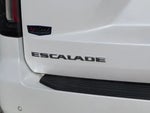 2021 Escalade ESV Thumbnail 14