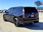 2023 Escalade ESV Thumbnail 11