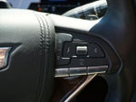 2023 Escalade ESV Thumbnail 18