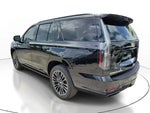 2025 Escalade Thumbnail 3