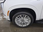 2025 Escalade Thumbnail 6