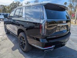 2025 Escalade Thumbnail 6