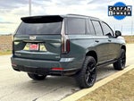 2025 Escalade Thumbnail 7