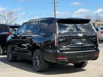 2026 Escalade Thumbnail 49