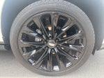 2025 Escalade Thumbnail 17