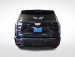 2025 Escalade Thumbnail 6