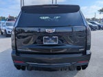 2025 Escalade-V Thumbnail 5
