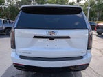 2025 Escalade ESV Thumbnail 5