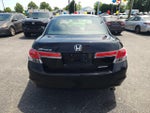 2012 Accord Thumbnail 5