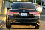 2011 Accord Thumbnail 6