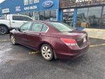 2010 Accord Thumbnail 3