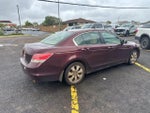 2010 Accord Thumbnail 5