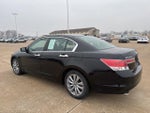 2012 Accord Thumbnail 4