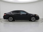 2016 Accord Thumbnail 7