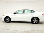2017 Accord Thumbnail 8