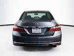 2017 Accord Thumbnail 5