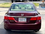 2014 Accord Thumbnail 4