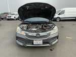 2017 Accord Thumbnail 10