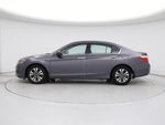 2015 Accord Thumbnail 3