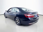 2017 Accord Thumbnail 5