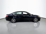 2017 Accord Thumbnail 8