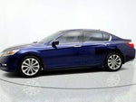 2013 Accord Thumbnail 8