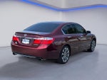 2014 Accord Thumbnail 6