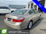 2013 Accord Thumbnail 12