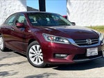2013 Accord Thumbnail 2