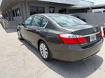 2013 Accord Thumbnail 4