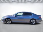 2016 Accord Thumbnail 14