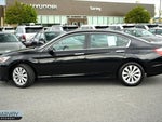 2014 Accord Thumbnail 2