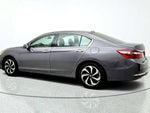 2017 Accord Thumbnail 7