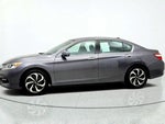 2017 Accord Thumbnail 8