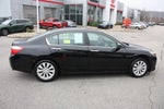 2014 Accord Thumbnail 3