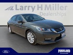 2013 Accord Thumbnail 7