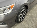 2017 Accord Thumbnail 8