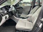 2017 Accord Thumbnail 10