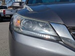2015 Accord Thumbnail 10