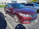 2014 Accord Thumbnail 3