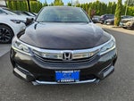 2016 Accord Thumbnail 2