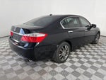 2013 Accord Thumbnail 7