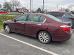 2013 Accord Thumbnail 3