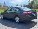 2013 Accord Thumbnail 13