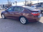 2013 Accord Thumbnail 8