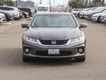 2013 Accord Thumbnail 7