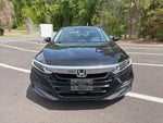 2019 Accord Thumbnail 2